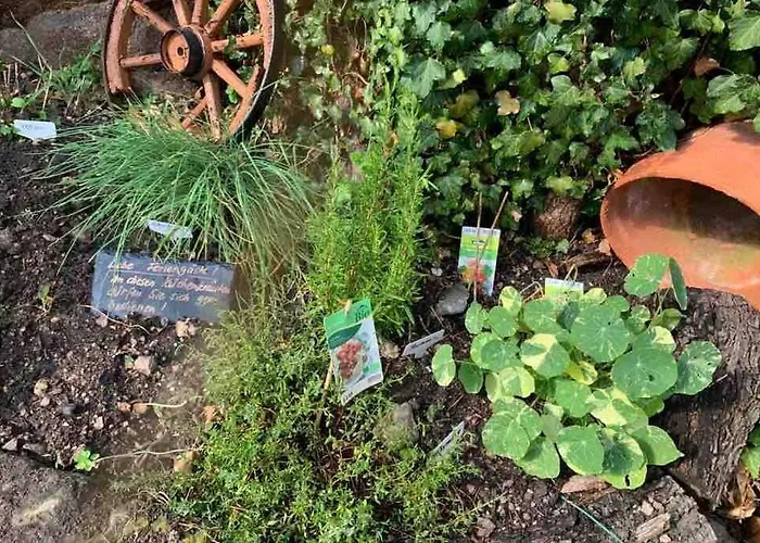 Neue Direkt Am Elberadweg * Meißen